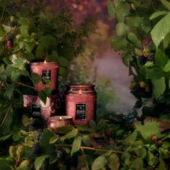 Foraged Wildberry|Voluspa Online