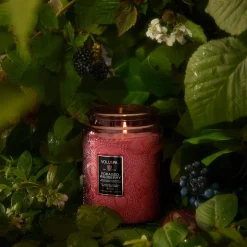Foraged Wildberry|Voluspa Best