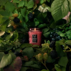Foraged Wildberry|Voluspa Sale