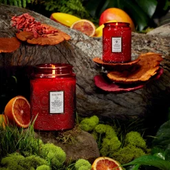 Goji Tarocco Orange|Voluspa Clearance