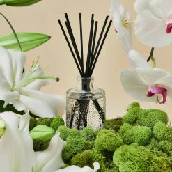 Mokara|Voluspa Outlet