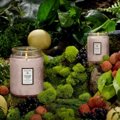 Panjore Lychee|Voluspa Discount