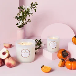 Saijo Persimmon|Voluspa Online