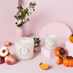 Saijo Persimmon|Voluspa Online