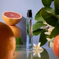Summer Essentials|Voluspa Outlet