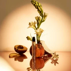 Summer Essentials|Voluspa Outlet